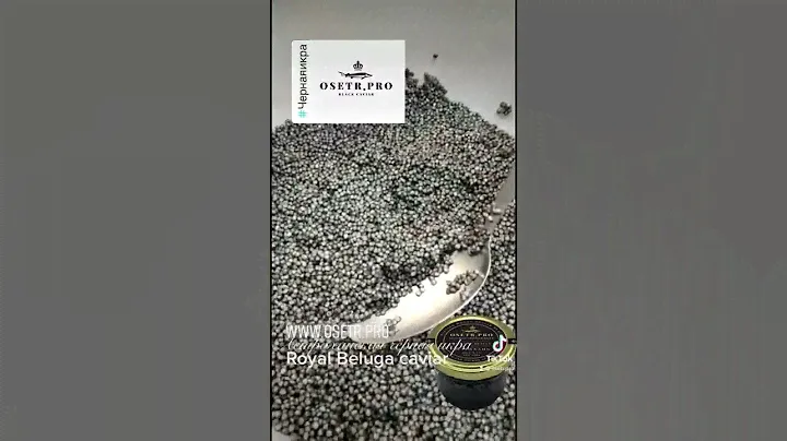 Белужья икра из Астрахани OsetrPro Royal Beluga Astrakhan
