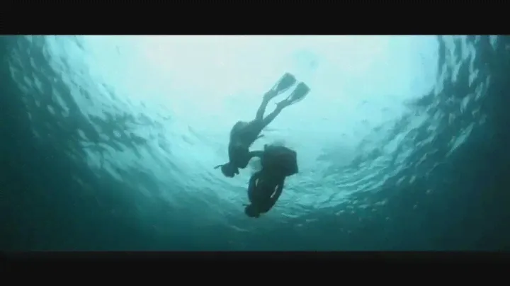 Подводные животные, медузы,дайвинг, рыба клоун,тюлень, рыбы, relax sea