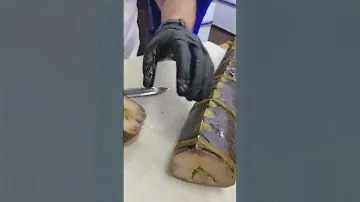 Осетр Ленский горячего копчения! Только сегодня с коптильни вышел🔥 #осетр #азбукасевера