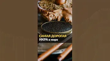 самая ДОРОГАЯ ИКРА в мире 🐟